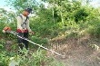 Dùng màng phủ nông nghiệp diệt le: Sáng kiến nhỏ làm lợi tiền tỷ